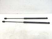 Tailgate/trunk strut/damper