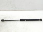 Front bonnet/hood damper/strut