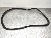 Rear door rubber seal (on body)