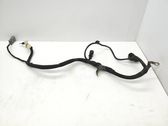 Wires (starter motor)