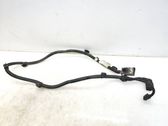 Cableado del sensor ABS trasero
