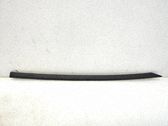 Windshield trim
