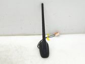 Radion antenni