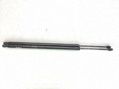 Tailgate/trunk strut/damper
