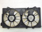 Elektrinis radiatorių ventiliatorius