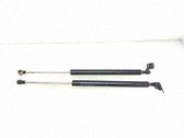 Tailgate/trunk strut/damper