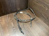 Tailgate/trunk wiring harness