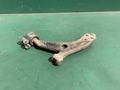 Front lower control arm/wishbone
