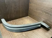 Fender trim (molding)