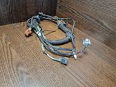 Cableado de puerta delantera