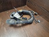 Cableado de puerta delantera