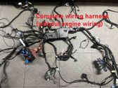 Other wiring loom