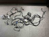 Other wiring loom