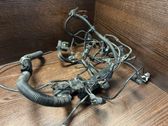 Other wiring loom