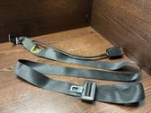 Middle seatbelt (rear)