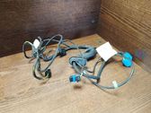 Front door wiring loom