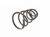 Front coil spring