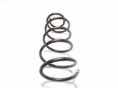 Front coil spring