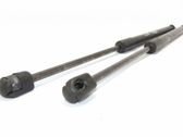 Tailgate/trunk strut/damper