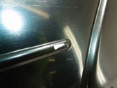 Rear door trim (molding)