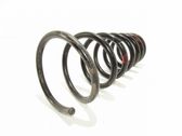 Front coil spring