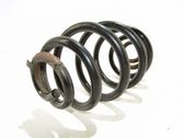 Muelle espiral trasero