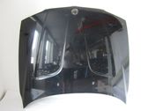 Motorhaube