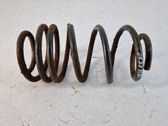 Muelle espiral delantero
