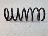 Muelle espiral trasero