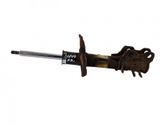 Front shock absorber/damper