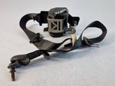Cinturón delantero