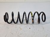 Muelle espiral trasero