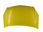 Motorhaube