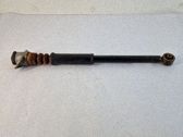 Stoßdämpfer hinten
