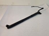 Tailgate/trunk strut/damper