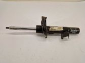 Front shock absorber/damper
