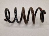 Muelle espiral trasero