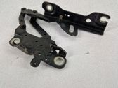 Bisagras del capó/tapa del motor