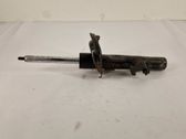 Front shock absorber/damper