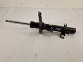 Front shock absorber/damper