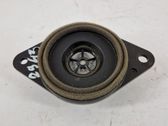 Front door speaker