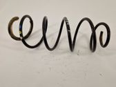 Front coil spring