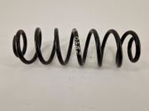 Rear coil spring