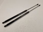 Tailgate/trunk strut/damper