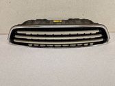 Kühlergrill