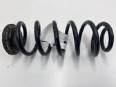 Rear coil spring