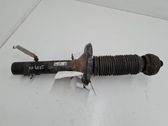 Front shock absorber/damper