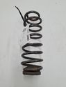 Rear coil spring