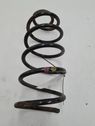 Front coil spring