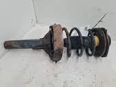 Front shock absorber with coil spring